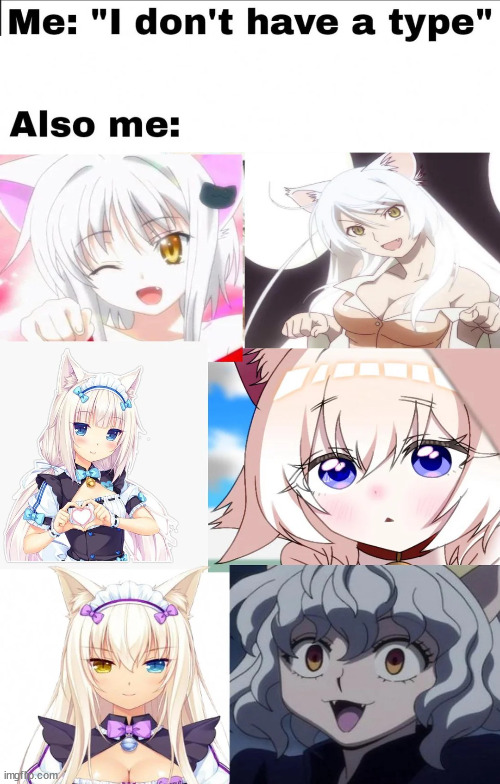 White hair with either blue or yellow eyes is what I like. | made w/ Imgflip meme maker