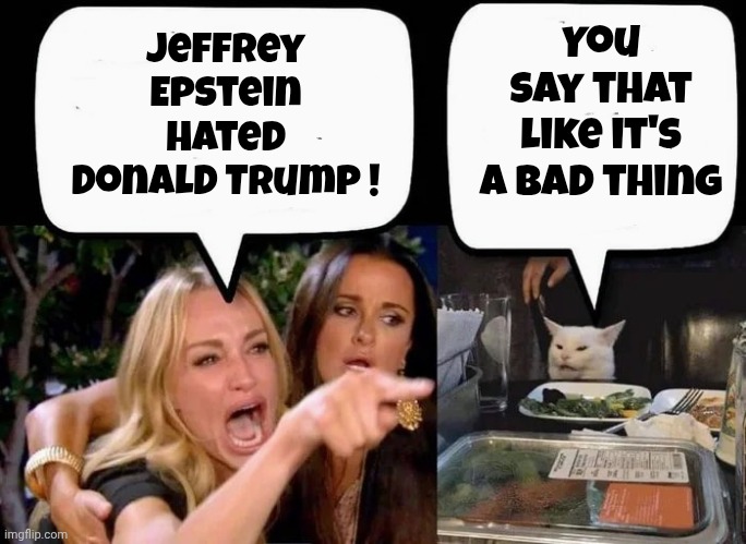 Don't eat the Cat | Jeffrey Epstein hated Donald Trump ! You say that like it's a bad thing | image tagged in don't eat the cat | made w/ Imgflip meme maker