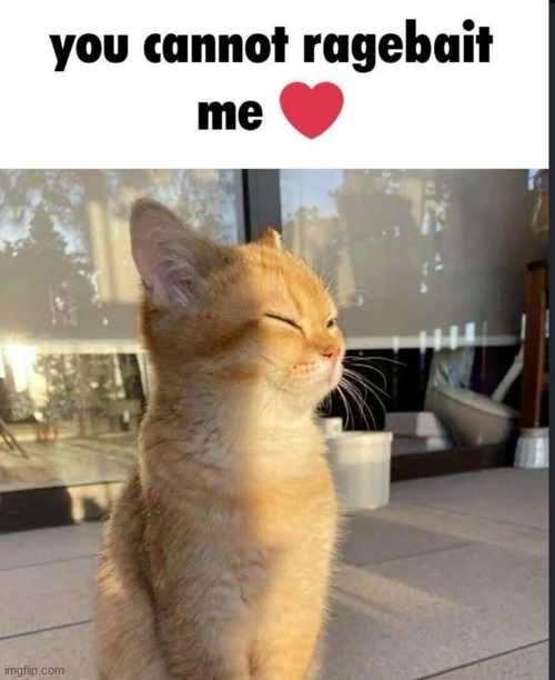 you cannot ragebait me | image tagged in you cannot ragebait me | made w/ Imgflip meme maker