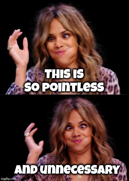 Lovely Halle Berry | This is so pointless and unnecessary | image tagged in lovely halle berry | made w/ Imgflip meme maker