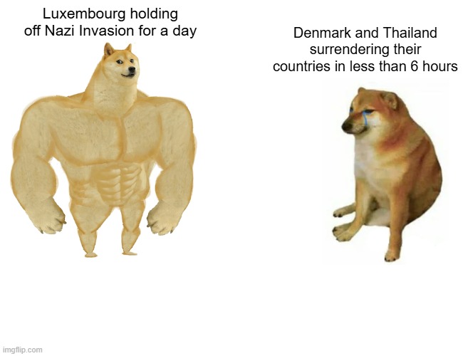 Go Luxembourg! | Luxembourg holding off Nazi Invasion for a day; Denmark and Thailand surrendering their countries in less than 6 hours | image tagged in memes,buff doge vs cheems | made w/ Imgflip meme maker