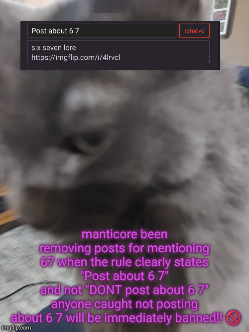 32's Cat | manticore been removing posts for mentioning 67 when the rule clearly states
"Post about 6 7"
and not "DONT post about 6 7"

anyone caught not posting
 about 6 7 will be immediately banned!! 🚫 | image tagged in 32's cat | made w/ Imgflip meme maker