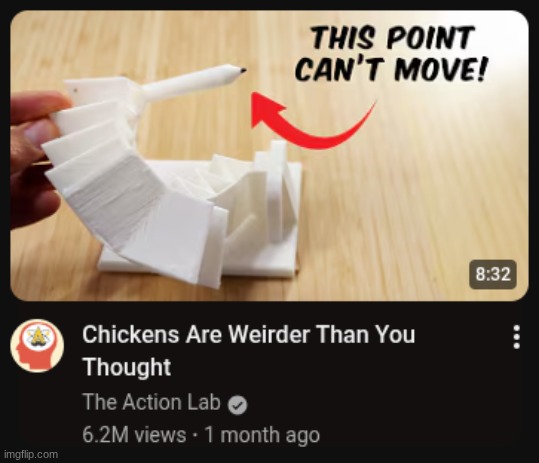 not a single chicken in sight | made w/ Imgflip meme maker