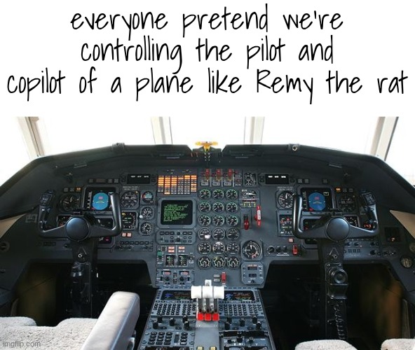 lesgo | everyone pretend we're controlling the pilot and copilot of a plane like Remy the rat | image tagged in airplane cockpit | made w/ Imgflip meme maker
