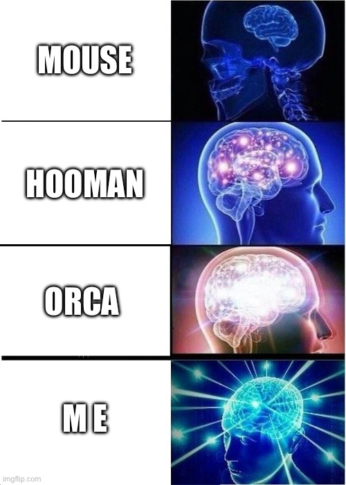 Expanding Brain Meme | MOUSE; HOOMAN; ORCA; M E | image tagged in memes,expanding brain | made w/ Imgflip meme maker