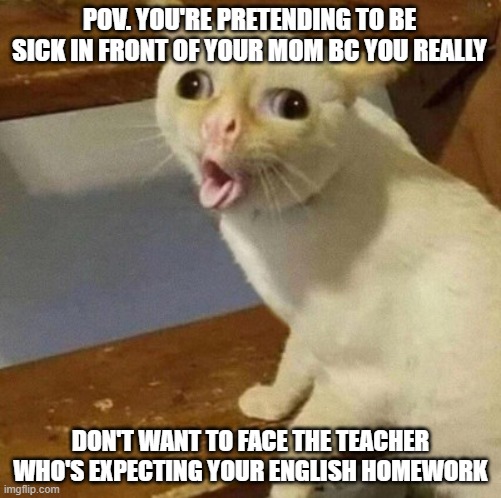 CORONA VIRUS | POV. YOU'RE PRETENDING TO BE SICK IN FRONT OF YOUR MOM BC YOU REALLY; DON'T WANT TO FACE THE TEACHER WHO'S EXPECTING YOUR ENGLISH HOMEWORK | made w/ Imgflip meme maker