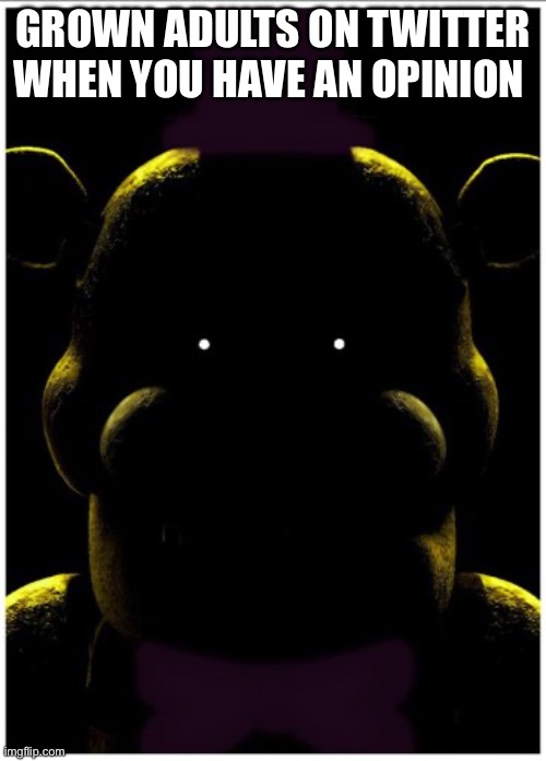 Cassidy | GROWN ADULTS ON TWITTER WHEN YOU HAVE AN OPINION | image tagged in cassidy | made w/ Imgflip meme maker