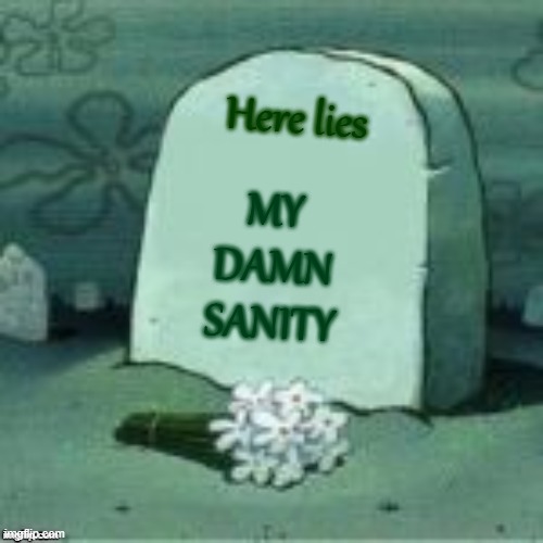 Yeah, this year was not fun for me. | Here lies; MY DAMN SANITY | made w/ Imgflip meme maker
