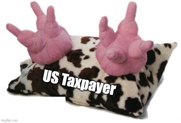 US Taxpayer | made w/ Imgflip meme maker