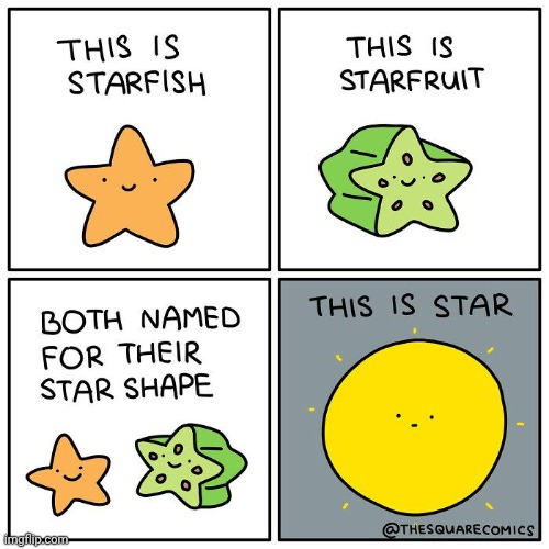 The star | image tagged in starfish,star,stars,starfruit,comics,comics/cartoons | made w/ Imgflip meme maker
