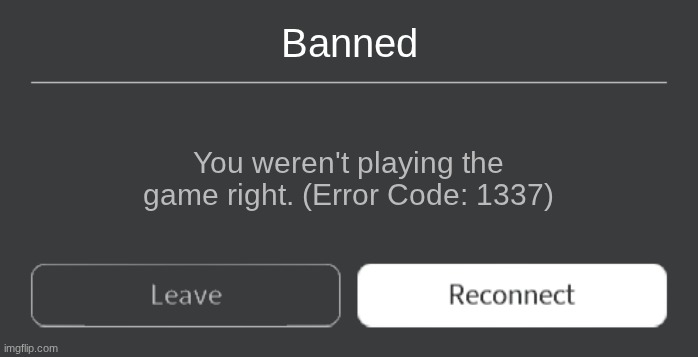 Literally every kid says that not playing right is bannable. | Banned; You weren't playing the game right. (Error Code: 1337) | image tagged in roblox error code with leave and reconnect,hi | made w/ Imgflip meme maker