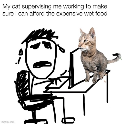 That Looks About Right | image tagged in cats,funny cats,drawings,relatable memes,relatable,reality | made w/ Imgflip meme maker