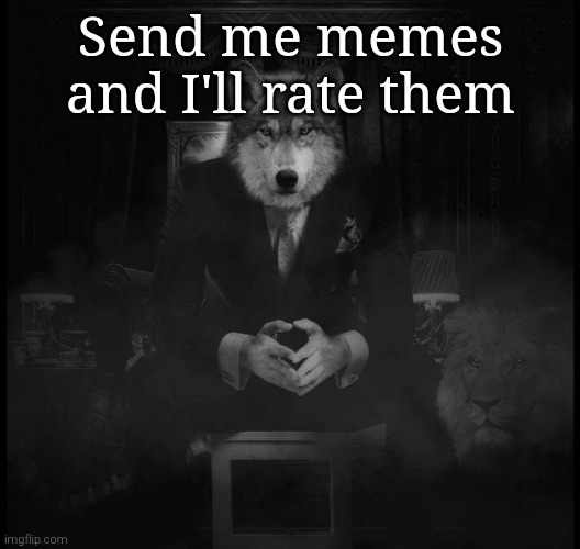 Wolf on a chair | Send me memes and I'll rate them | image tagged in wolf on a chair | made w/ Imgflip meme maker