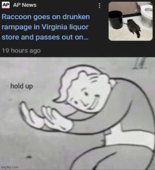 Drunk raccoon | image tagged in fallout hold up,memes,funny,raccoon | made w/ Imgflip meme maker
