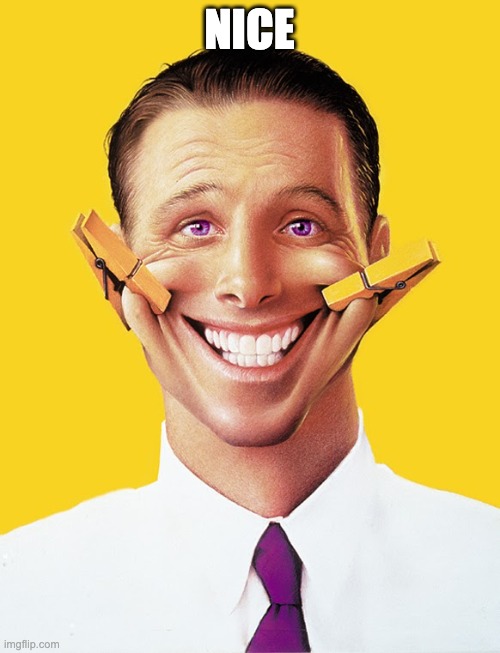 Fake smile | NICE | image tagged in fake smile | made w/ Imgflip meme maker