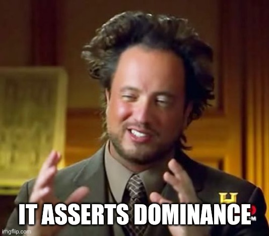 Ancient Aliens Meme | IT ASSERTS DOMINANCE | image tagged in memes,ancient aliens | made w/ Imgflip meme maker