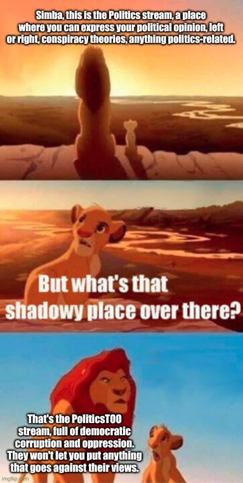 Stay away from there. | Simba, this is the Politics stream, a place where you can express your political opinion, left or right, conspiracy theories, anything politics-related. That's the PoliticsTOO stream, full of democratic corruption and oppression. They won't let you put anything that goes against their views. | image tagged in memes,simba shadowy place | made w/ Imgflip meme maker