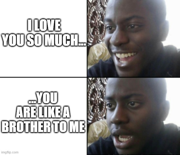 Women | I LOVE YOU SO MUCH... ...YOU ARE LIKE A BROTHER TO ME | image tagged in happy / shock | made w/ Imgflip meme maker