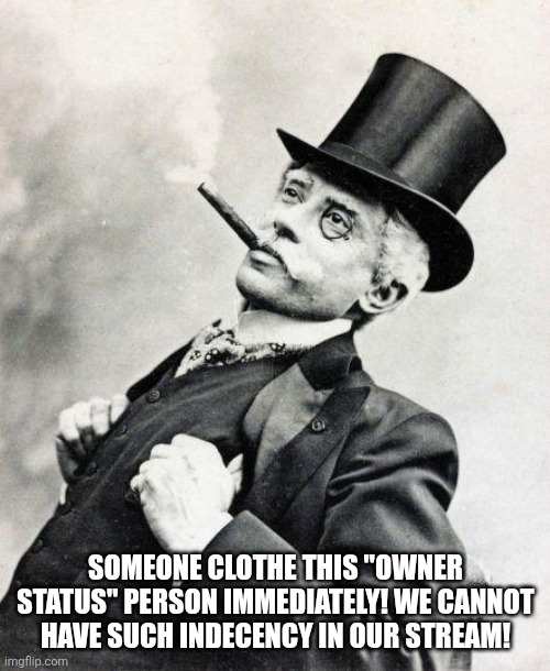 Smug gentleman | SOMEONE CLOTHE THIS "OWNER STATUS" PERSON IMMEDIATELY! WE CANNOT HAVE SUCH INDECENCY IN OUR STREAM! | image tagged in smug gentleman | made w/ Imgflip meme maker