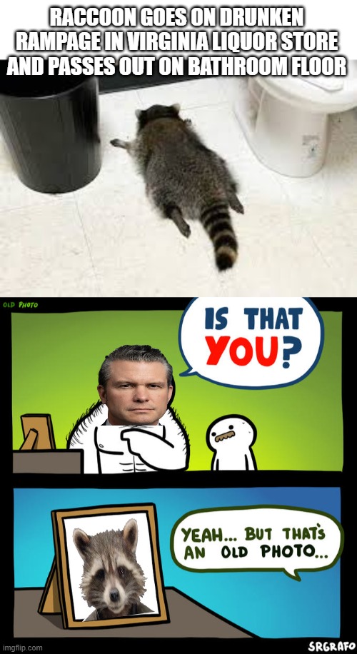 It's over for you! PETE | RACCOON GOES ON DRUNKEN RAMPAGE IN VIRGINIA LIQUOR STORE AND PASSES OUT ON BATHROOM FLOOR | image tagged in is that you yeah but that's an old photo | made w/ Imgflip meme maker