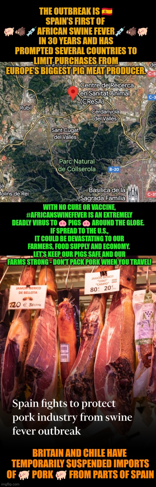 African Swine Fever impacts Spain’s pork industry | THE OUTBREAK IS 🇪🇦 SPAIN’S FIRST OF 
🐖🐗💉AFRICAN SWINE FEVER💉🐗🐖 IN 30 YEARS AND HAS PROMPTED SEVERAL COUNTRIES TO LIMIT PURCHASES FROM EUROPE’S BIGGEST PIG MEAT PRODUCER. WITH NO CURE OR VACCINE, #AFRICANSWINEFEVER IS AN EXTREMELY DEADLY VIRUS TO 🐽 PIGS 🐽 AROUND THE GLOBE.  
IF SPREAD TO THE U.S., IT COULD BE DEVASTATING TO OUR FARMERS, FOOD SUPPLY AND ECONOMY. 
LET’S KEEP OUR PIGS SAFE AND OUR FARMS STRONG - DON'T PACK PORK WHEN YOU TRAVEL! BRITAIN AND CHILE HAVE  TEMPORARILY SUSPENDED IMPORTS OF 🐖 PORK 🐖 FROM PARTS OF SPAIN | image tagged in public health,spain,pork,usda,importation,animal health | made w/ Imgflip meme maker