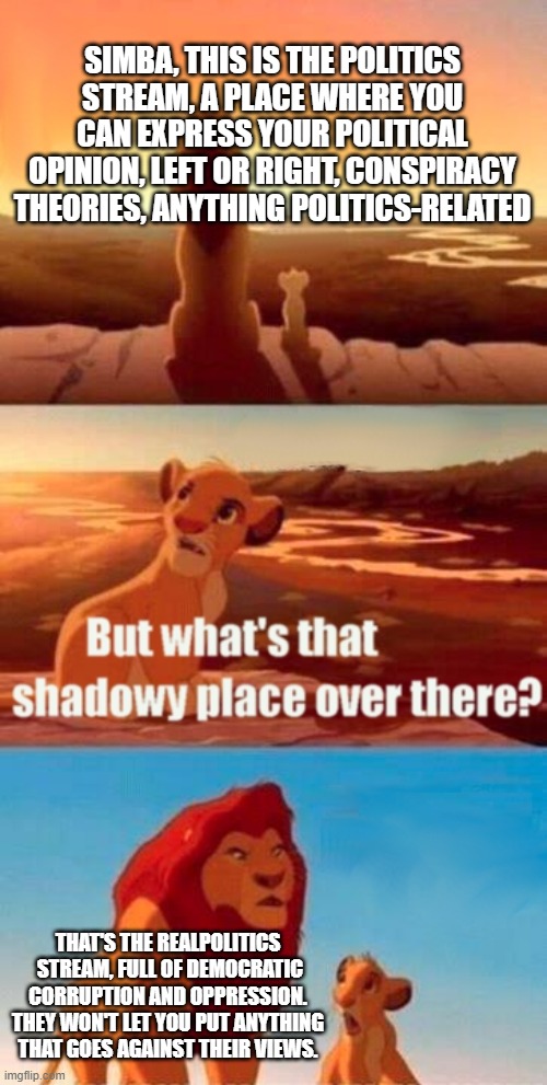 Saw the EXACT opposite of this meme so I posted this instead lol | SIMBA, THIS IS THE POLITICS STREAM, A PLACE WHERE YOU CAN EXPRESS YOUR POLITICAL OPINION, LEFT OR RIGHT, CONSPIRACY THEORIES, ANYTHING POLITICS-RELATED; THAT'S THE REALPOLITICS  STREAM, FULL OF DEMOCRATIC CORRUPTION AND OPPRESSION. THEY WON'T LET YOU PUT ANYTHING THAT GOES AGAINST THEIR VIEWS. | image tagged in memes,simba shadowy place | made w/ Imgflip meme maker