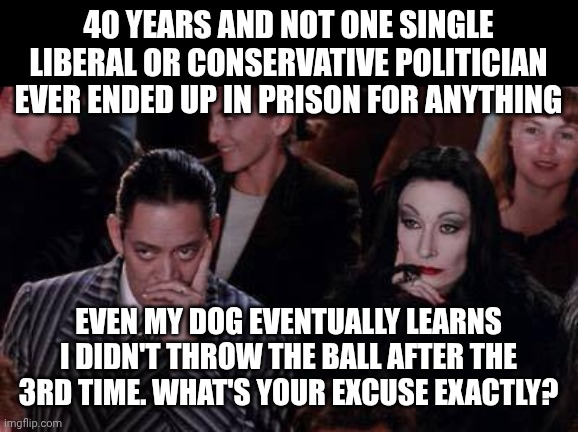 Unimpressed Gomez & Morticia | 40 YEARS AND NOT ONE SINGLE LIBERAL OR CONSERVATIVE POLITICIAN EVER ENDED UP IN PRISON FOR ANYTHING; EVEN MY DOG EVENTUALLY LEARNS I DIDN'T THROW THE BALL AFTER THE 3RD TIME. WHAT'S YOUR EXCUSE EXACTLY? | image tagged in unimpressed gomez morticia | made w/ Imgflip meme maker