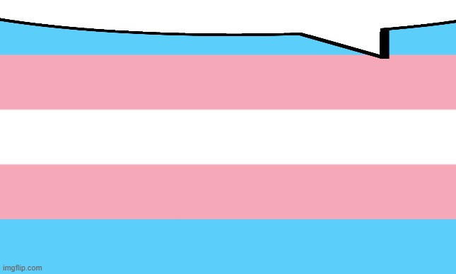 Trans Flag | image tagged in trans flag | made w/ Imgflip meme maker