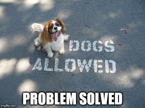 Dogs Allowed | PROBLEM SOLVED | image tagged in cute puppies | made w/ Imgflip meme maker
