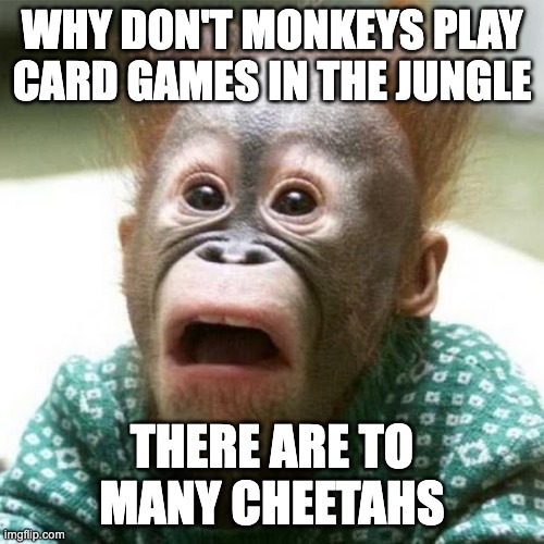 upvote for monkey style dance- | WHY DON'T MONKEYS PLAY CARD GAMES IN THE JUNGLE; THERE ARE TO MANY CHEETAHS | image tagged in shocked monkey | made w/ Imgflip meme maker