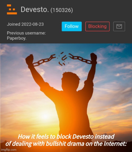 How it feels to block Devesto instead of dealing with bullshit drama on the Internet: | image tagged in man breaking free from chains over the sunset | made w/ Imgflip meme maker
