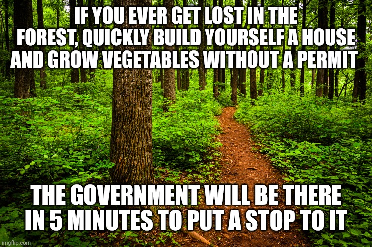 forest path | IF YOU EVER GET LOST IN THE FOREST, QUICKLY BUILD YOURSELF A HOUSE AND GROW VEGETABLES WITHOUT A PERMIT; THE GOVERNMENT WILL BE THERE IN 5 MINUTES TO PUT A STOP TO IT | image tagged in forest path | made w/ Imgflip meme maker
