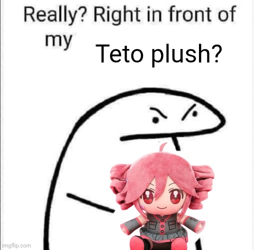 Really, right in front of my | Teto plush? | image tagged in really right in front of my | made w/ Imgflip meme maker