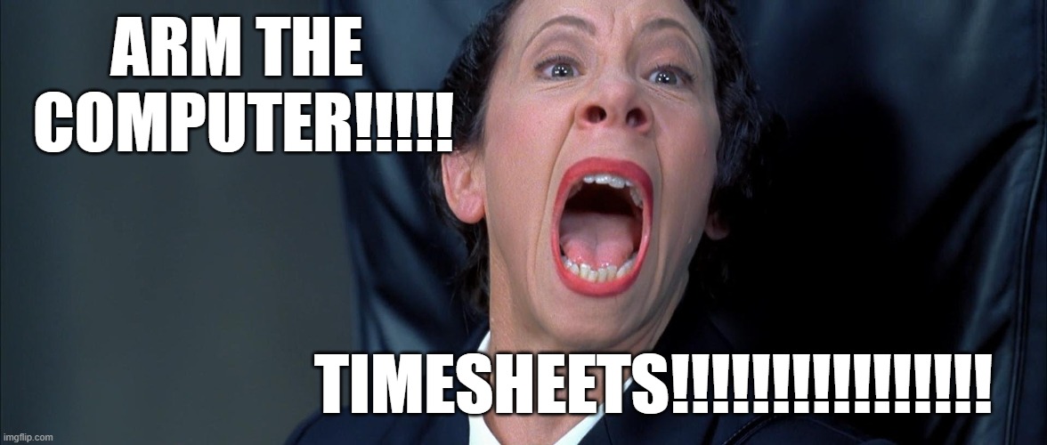 TIMESHEETS!!!!!!!!!!!!!!!!!!!!!!!! | ARM THE 
COMPUTER!!!!! TIMESHEETS!!!!!!!!!!!!!!!! | image tagged in frau farbissina,timesheet reminder,timesheet meme,timesheet,austin powers | made w/ Imgflip meme maker