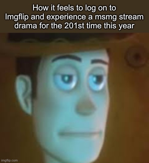 At this point no one should care | How it feels to log on to Imgflip and experience a msmg stream drama for the 201st time this year | image tagged in disappointed woody | made w/ Imgflip meme maker