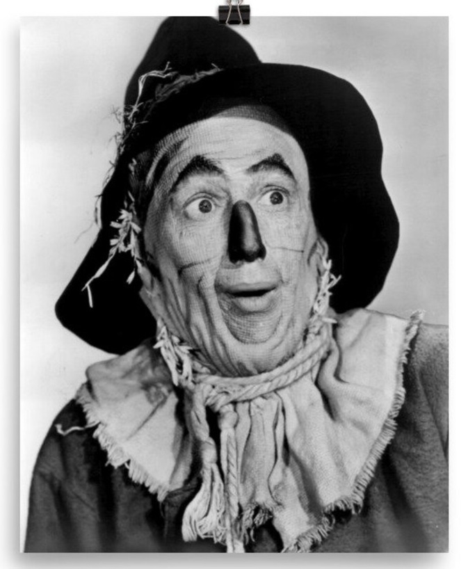 Scarecrow Wizard of Oz Blank Meme Template