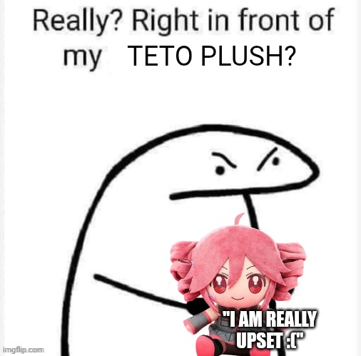 Really? Right in front of my | TETO PLUSH? "I AM REALLY UPSET :(" | image tagged in really right in front of my | made w/ Imgflip meme maker