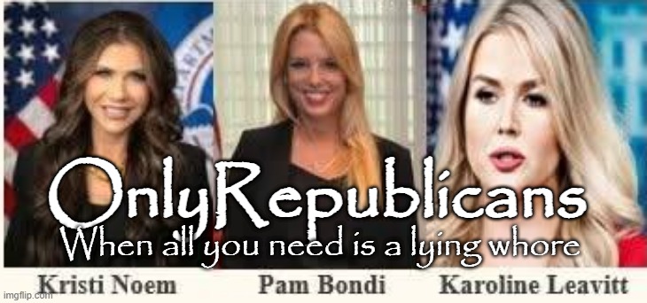 OnlyRepublicans | OnlyRepublicans; When all you need is a lying whore | image tagged in bondi,noem,leavitt,onlyrepublicans,whores,republicunts | made w/ Imgflip meme maker