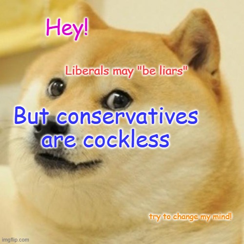 Doge Meme | Hey! Liberals may "be liars"; But conservatives are cockless; try to change my mind! | image tagged in memes,doge | made w/ Imgflip meme maker