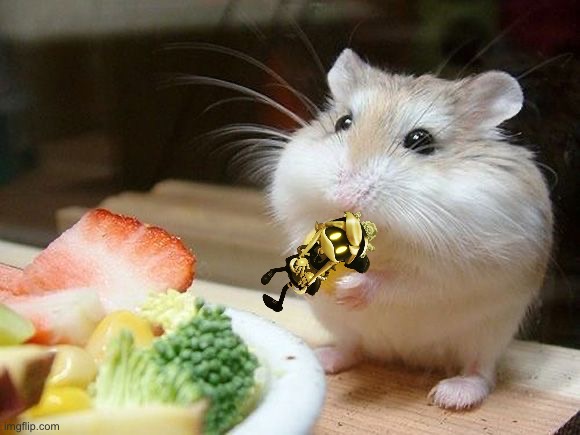 image tagged in nom nom nom | made w/ Imgflip meme maker