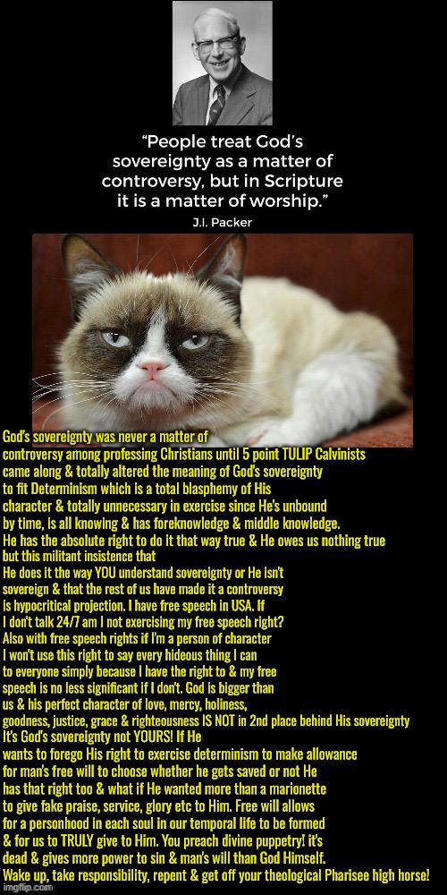 They start the controversy then project it back onto you | image tagged in calvinism,calvinist memes,anti calvinist,reformed theology,malignant narcissism,psychopath | made w/ Imgflip meme maker