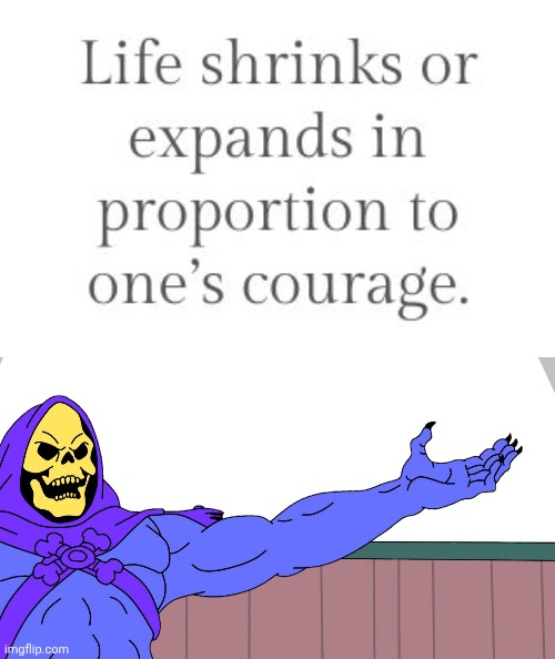 Life shrinks or expands | image tagged in skeletor presents,life | made w/ Imgflip meme maker