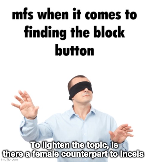 block button | To lighten the topic, is there a female counterpart to Incels | image tagged in block button | made w/ Imgflip meme maker