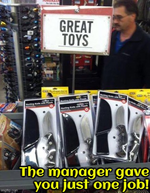 These are toys? For who? Murderers? | The manager gave you just one job! | image tagged in you had one job,you had one job just the one,task failed successfully,toys,dafuq did i just read,epic fail | made w/ Imgflip meme maker