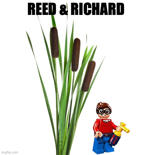 REED & RICHARD | made w/ Imgflip meme maker