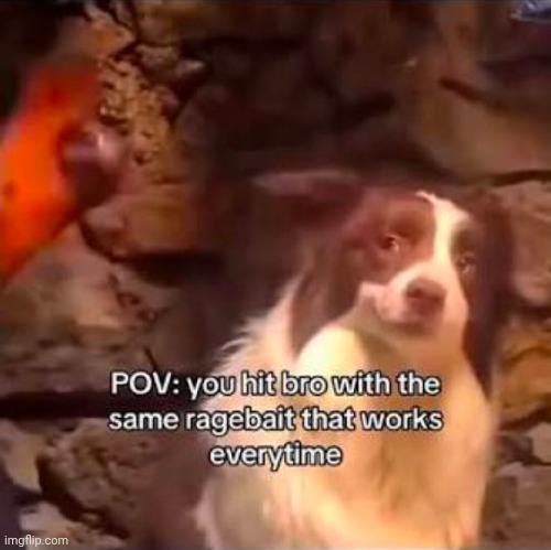 image tagged in ragebait | made w/ Imgflip meme maker