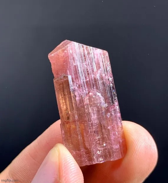 Forbidden jolly rancher | made w/ Imgflip meme maker