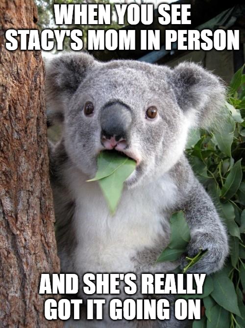 If you know, you know. | WHEN YOU SEE STACY'S MOM IN PERSON; AND SHE'S REALLY GOT IT GOING ON | image tagged in memes,surprised koala,stacys mom | made w/ Imgflip meme maker