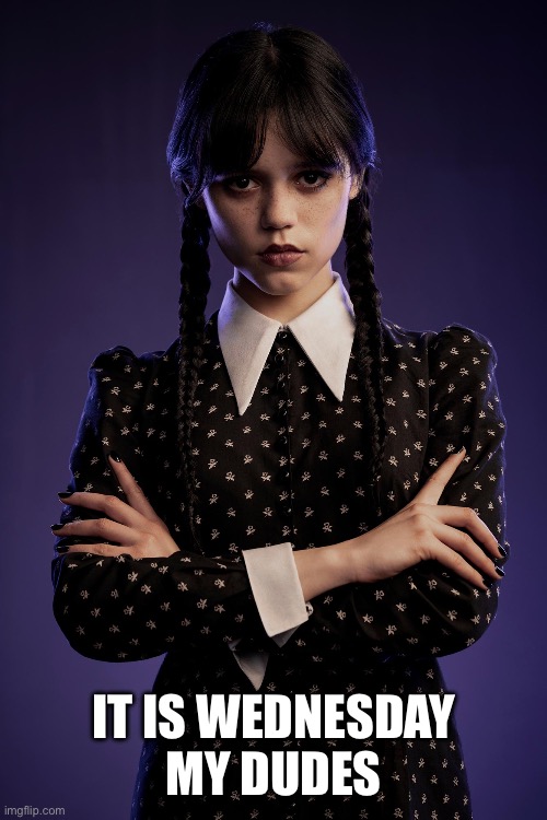 It is Wednesday Addams my dudes | IT IS WEDNESDAY
MY DUDES | image tagged in wednesday,it is wednesday my dudes,wednesday addams | made w/ Imgflip meme maker