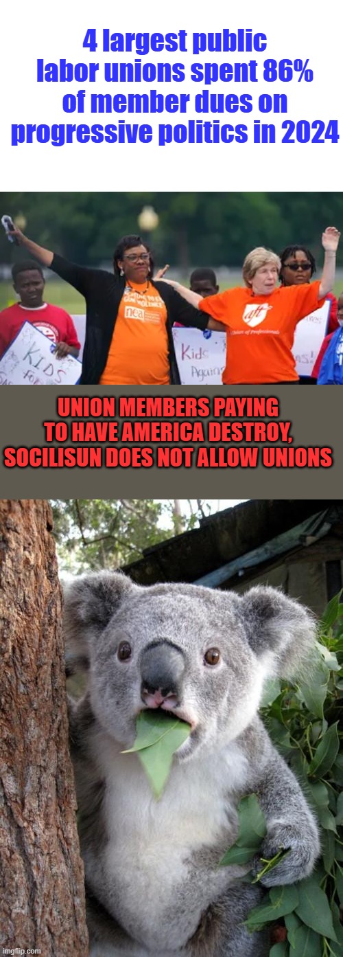 I wonder if the young voters know that. | 4 largest public labor unions spent 86% of member dues on progressive politics in 2024; UNION MEMBERS PAYING TO HAVE AMERICA DESTROY, SOCILISUN DOES NOT ALLOW UNIONS | image tagged in memes,surprised koala | made w/ Imgflip meme maker
